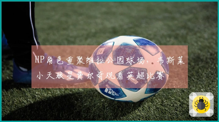 HP角色重聚维拉公园球场,韦斯莱小天狼星费尔奇观看英超比赛