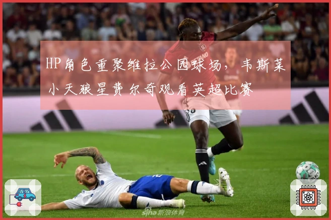 HP角色重聚维拉公园球场，韦斯莱小天狼星费尔奇观看英超比赛